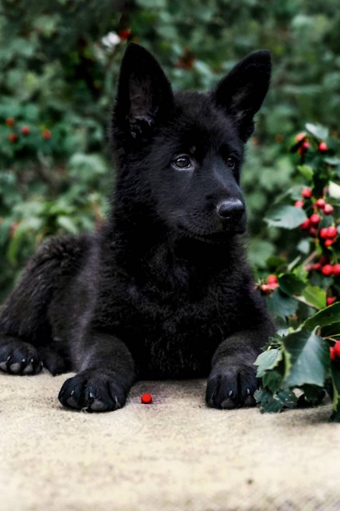 Фотография автора марина леоненко