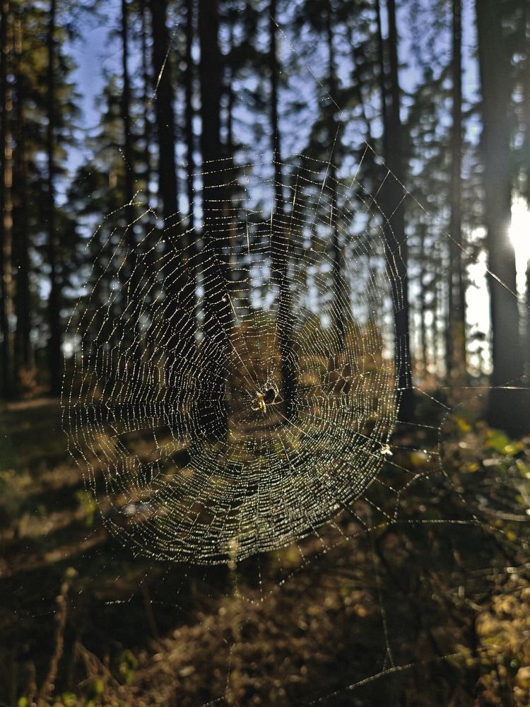 Photograph by Ольга