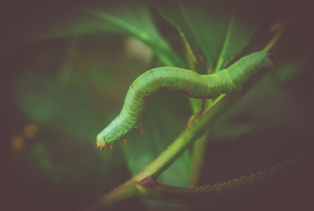 Photograph by Виктор Сёмушкин