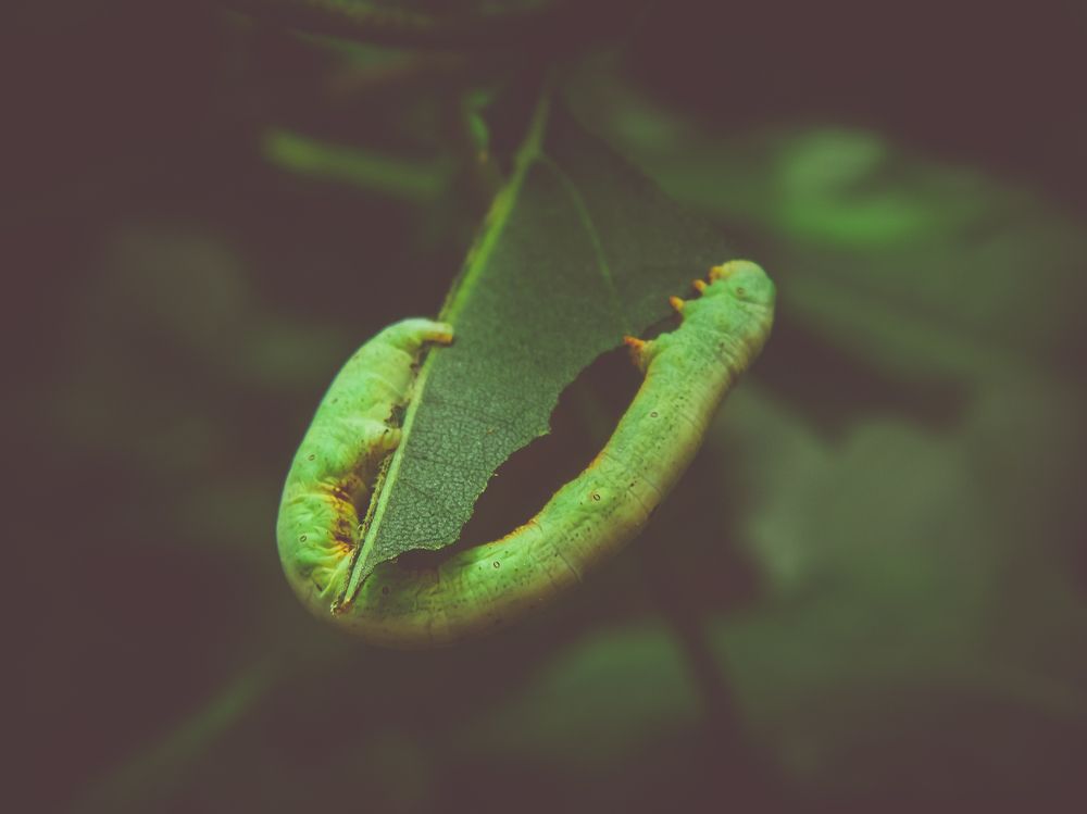 Photograph by Виктор Сёмушкин