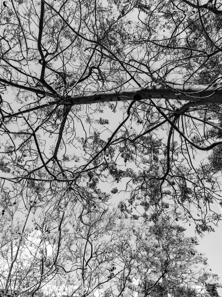 Фотография автора Sara Attia