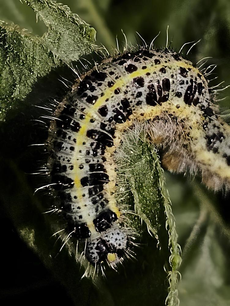 Photograph by Ия Дирко