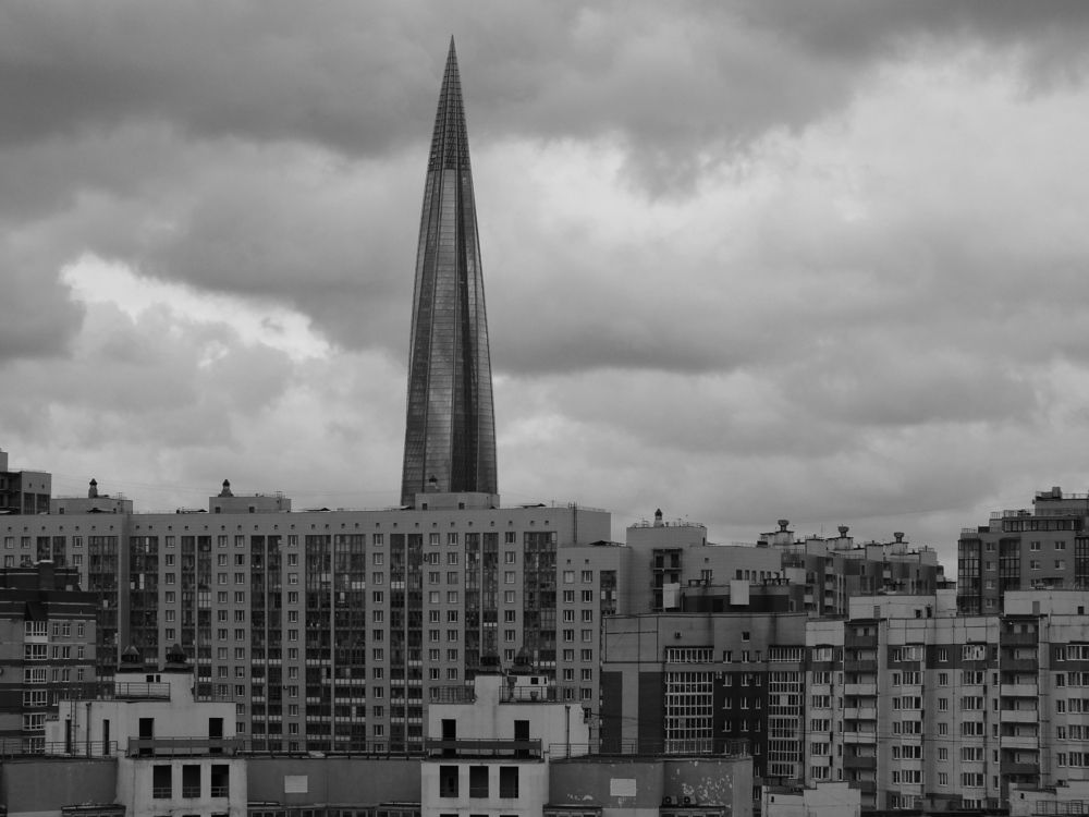 Photo #11307693