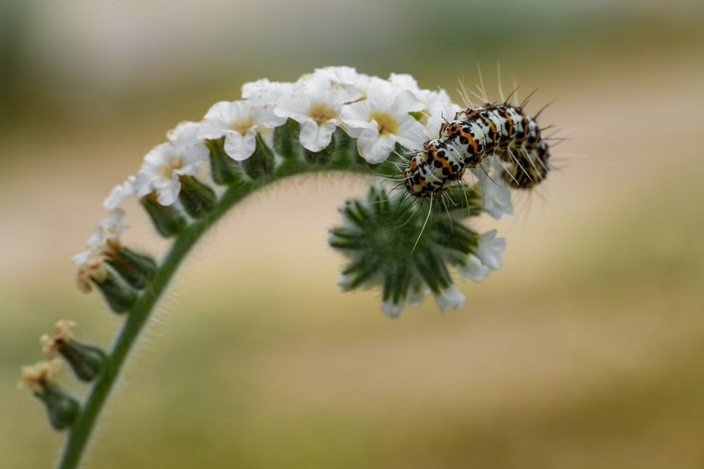 Photograph by ozgur secmen