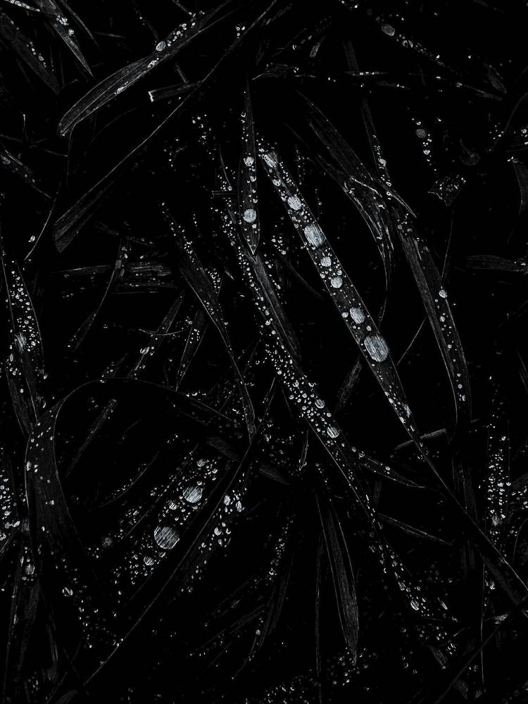 Photograph by Олена Уманцева