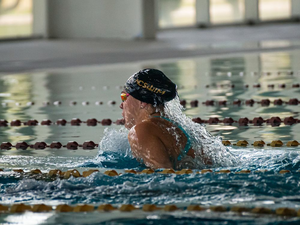 Photograph by Ascanio Fernández Pinto Urbina