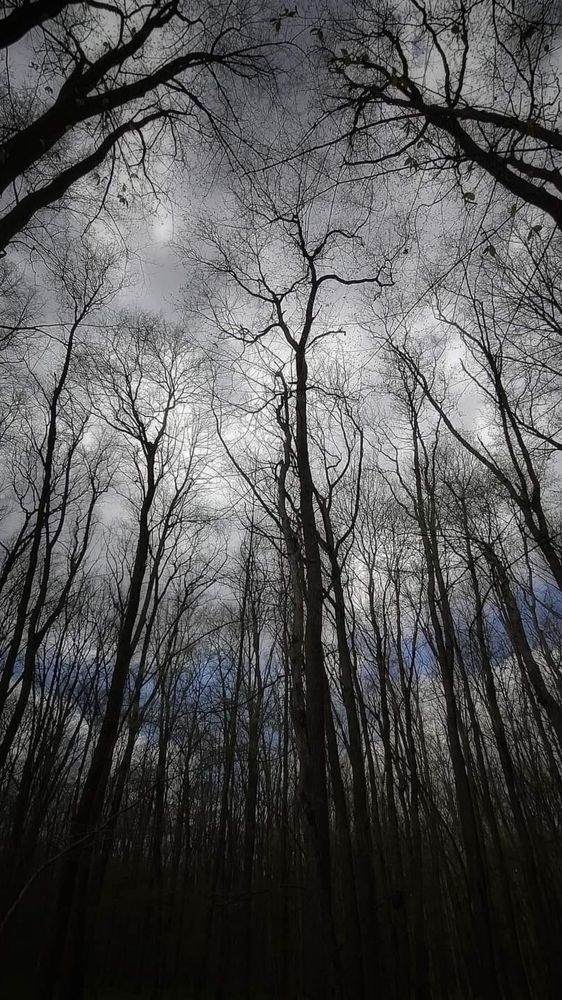 Photograph by Mariana Ștefania Odințoi