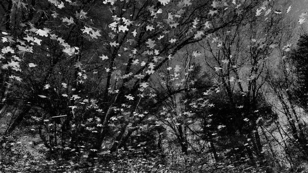 Фотография автора Olga Andriuc