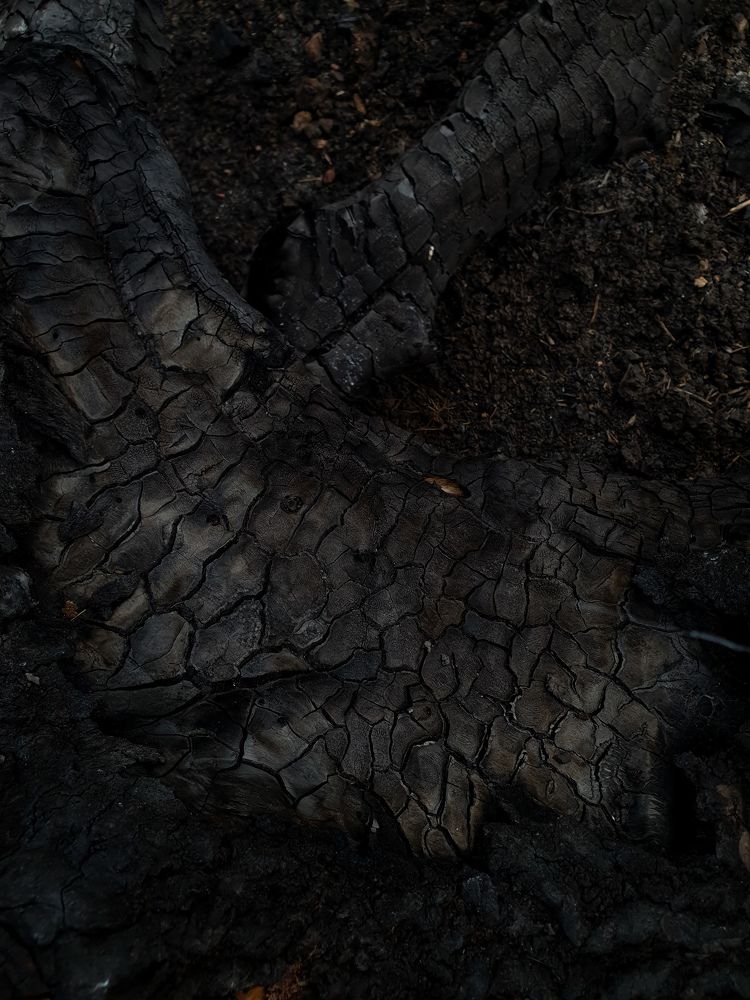 Photograph by Анастасия Трофимовская