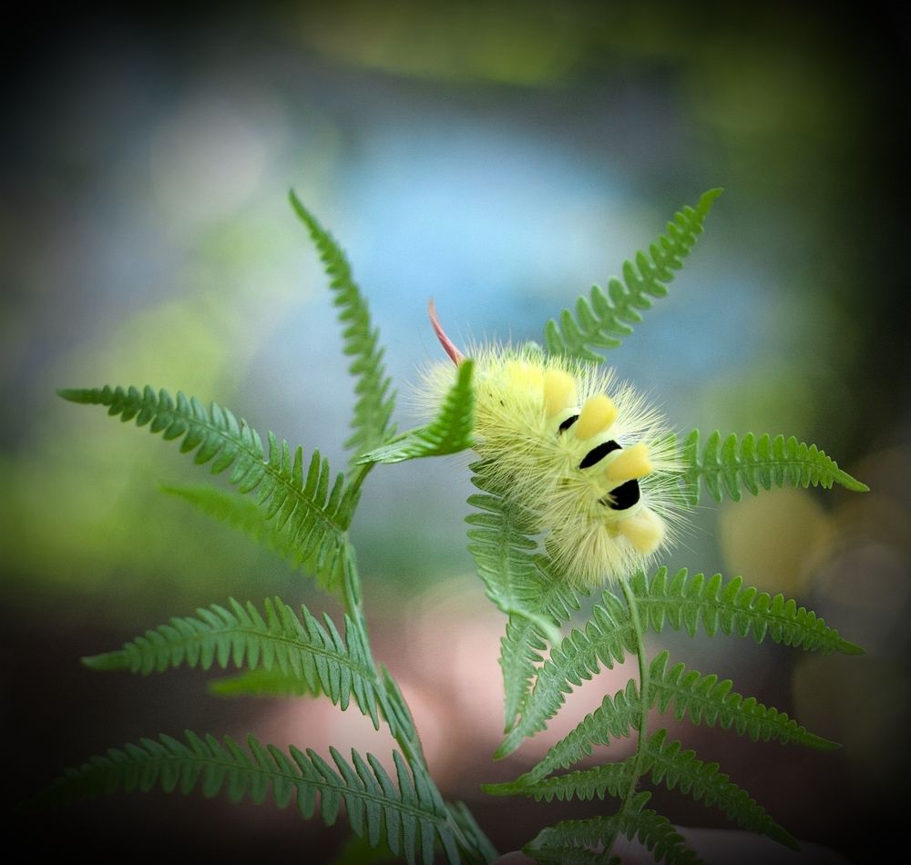 Photograph by Plamen Yuriev