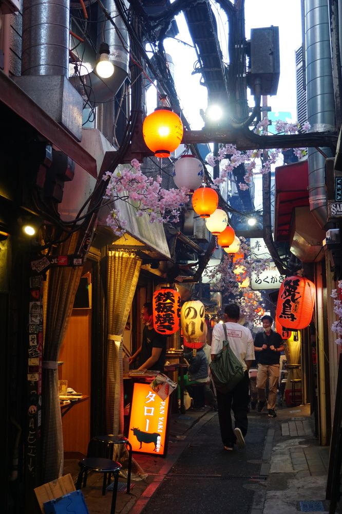 Фотография автора Liudmila Kiermeier