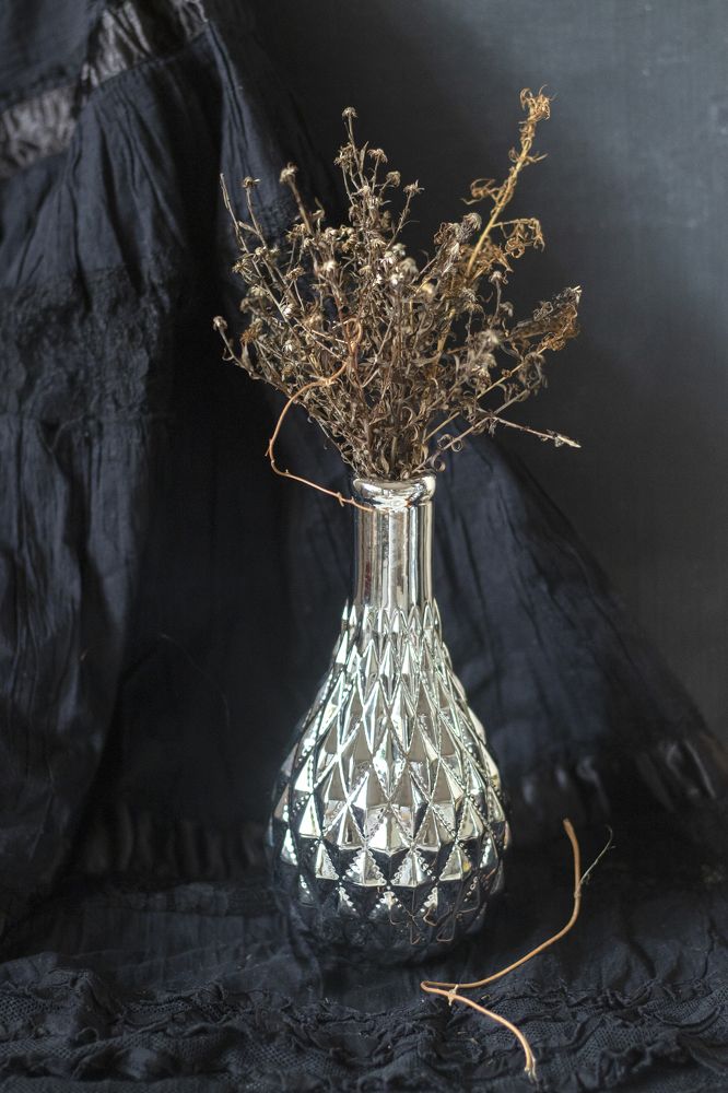 Photograph by Анастасия Трофимовская