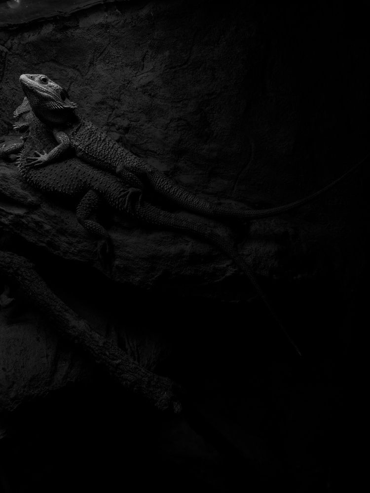 Фотография автора Ольга Маслова