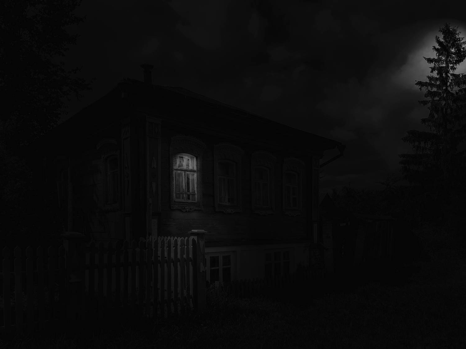 Photo #11307904