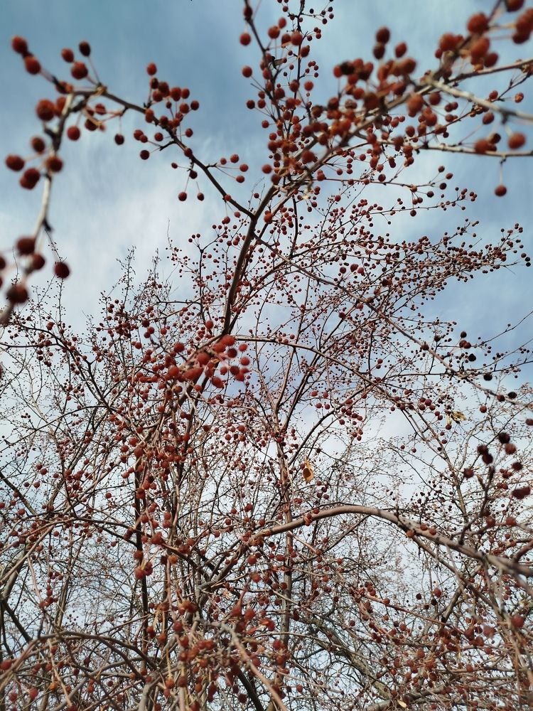 Photograph by Ирина Любимова