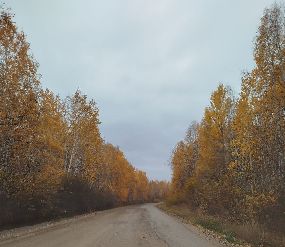 Photo #11307941