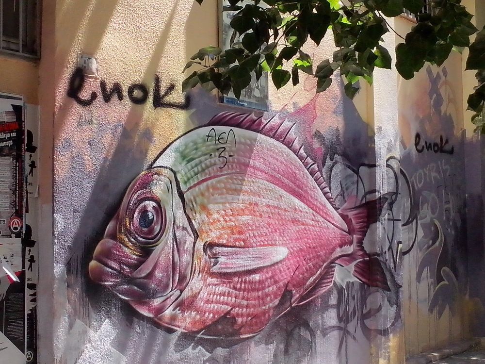 Photograph by Nadaškić Jasminka