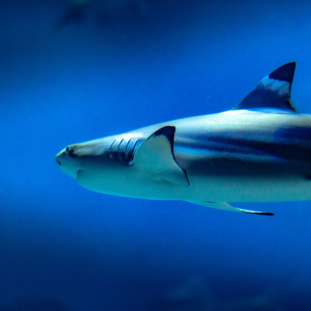 Photograph by Григорий