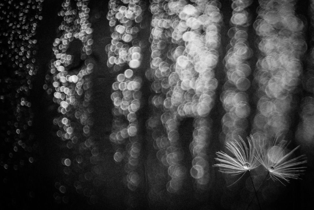 Photograph by Наталья Шумилова