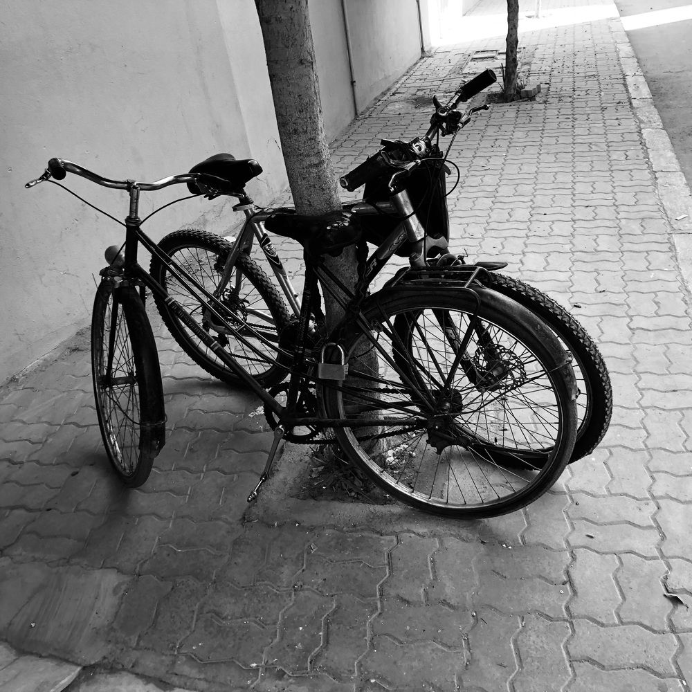 Photograph by Abdellatif Jellab