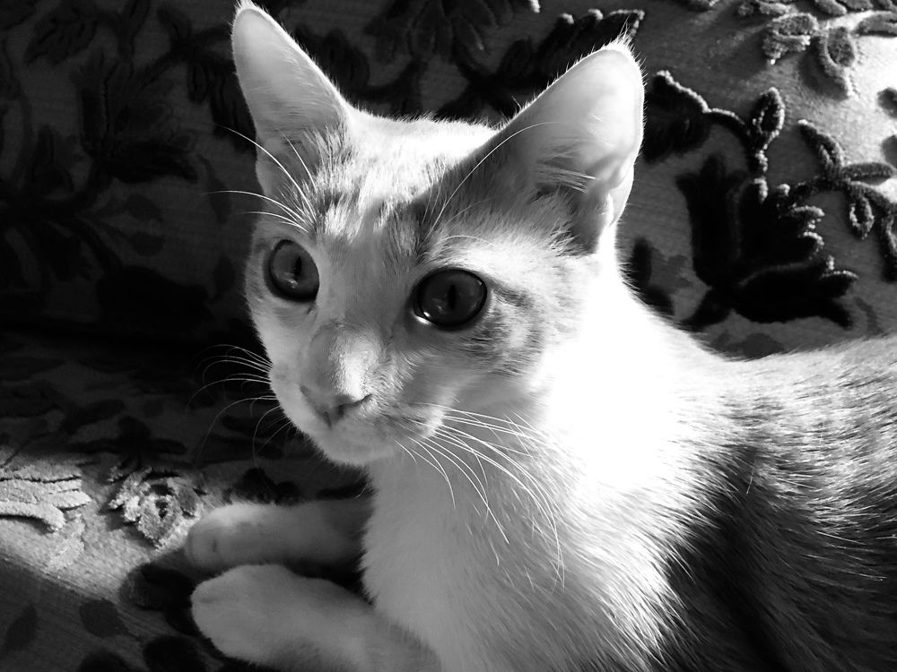 Photograph by Abdellatif Jellab