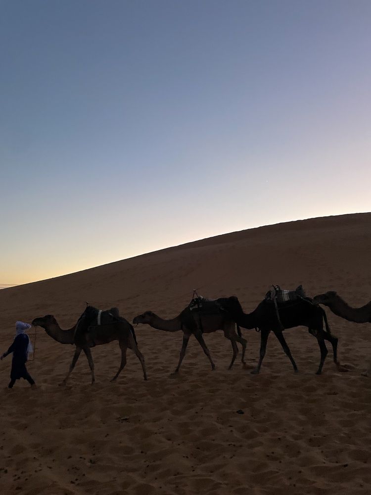 Photograph by Abdellatif Jellab