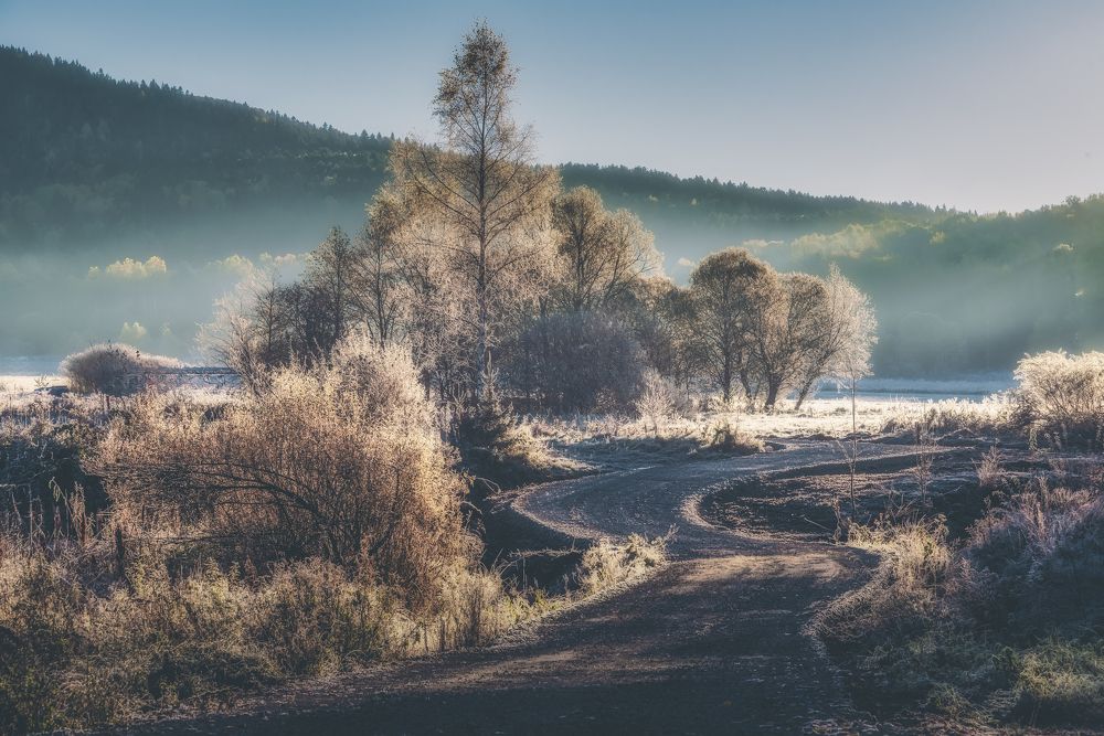 Photograph by Budyta Dariusz