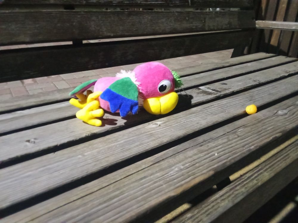 Photo #11308046