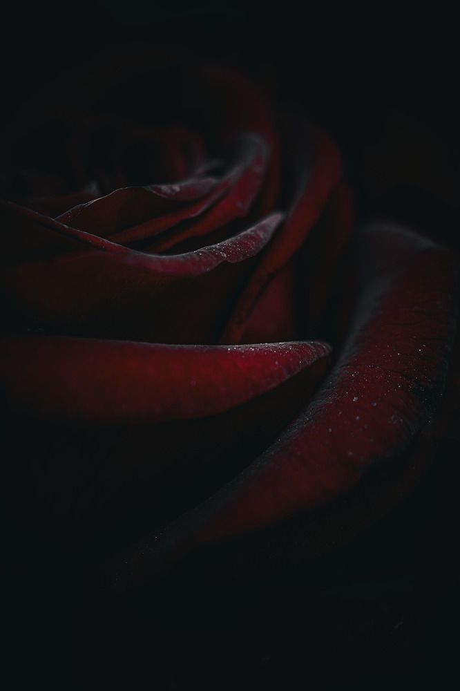 Photograph by Дмитрий Поварков