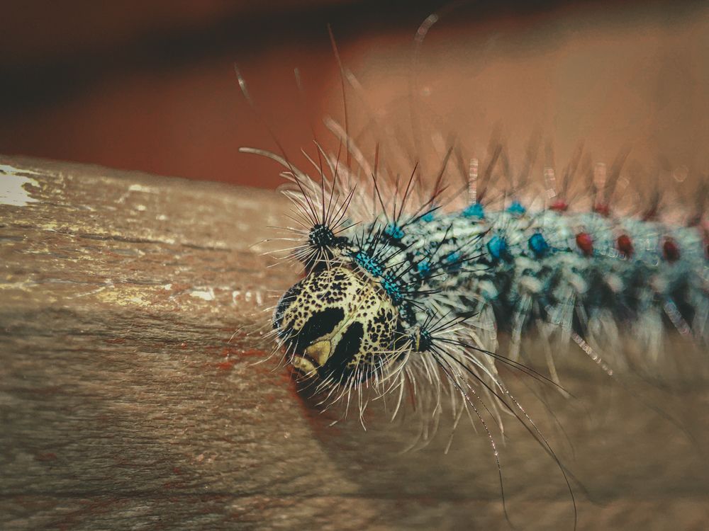 Photograph by Александра Петрова