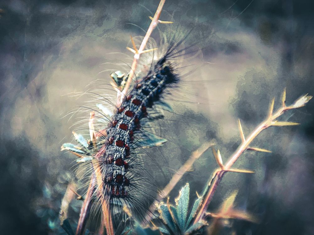 Photograph by Александра Петрова