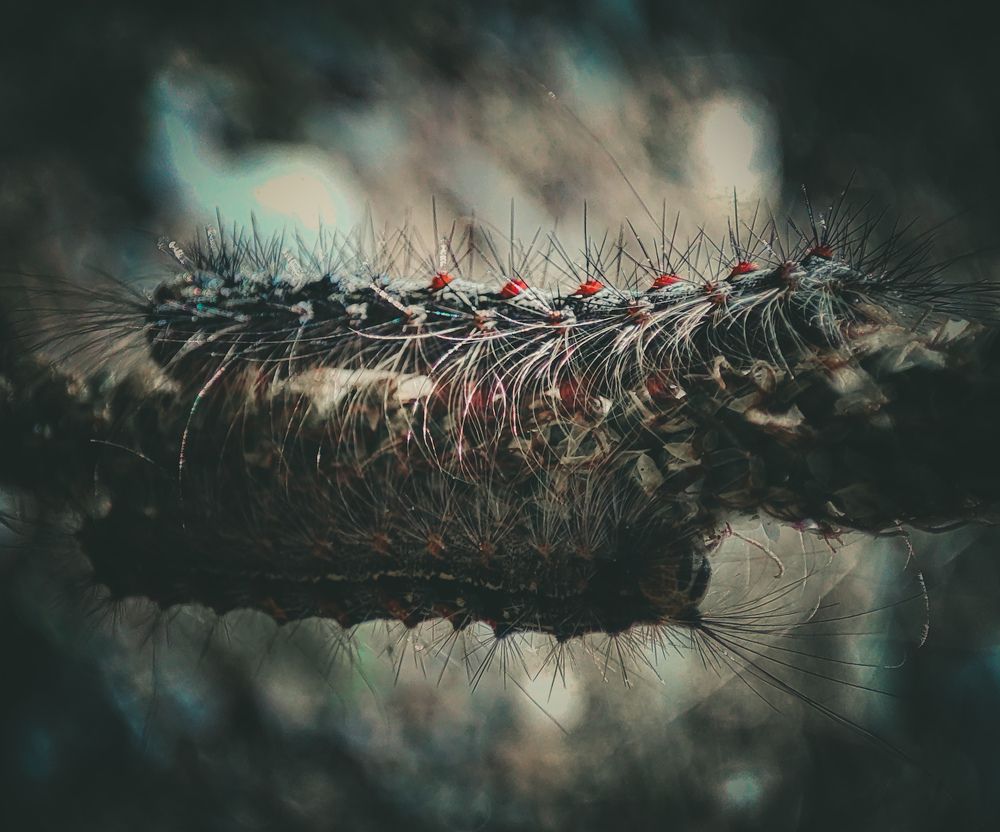 Photograph by Александра Петрова