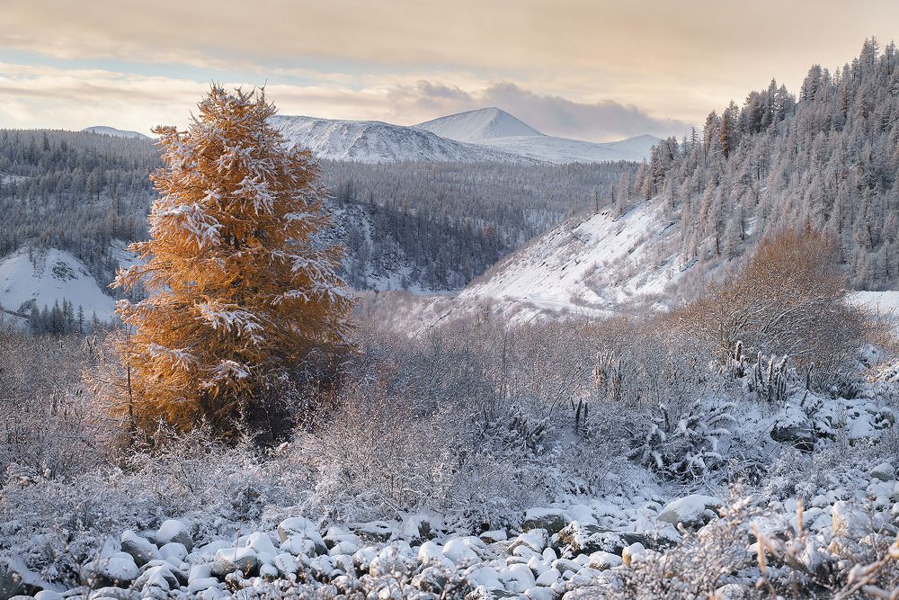 Photograph by Нерозя Александр