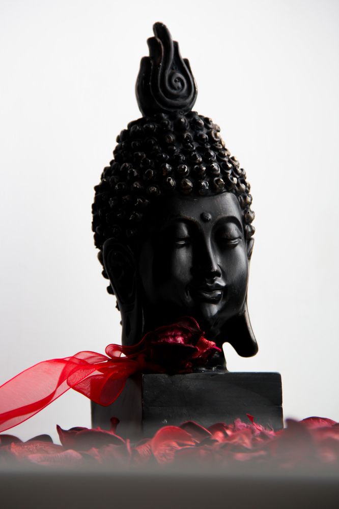 Фотография автора Алиса Исаева