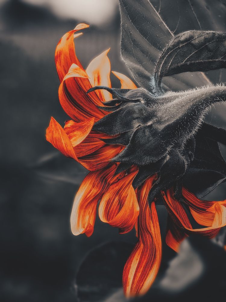 Photograph by Дмитрий Поварков