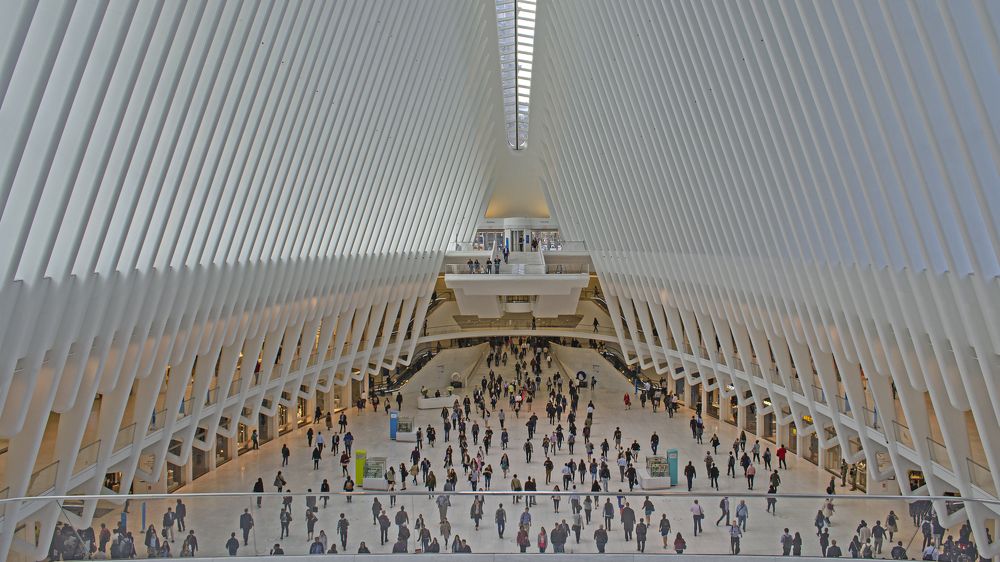 Фотография автора Гришанов Пётр