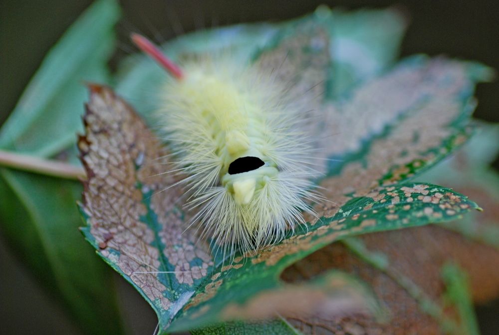 Photograph by Оксана Трофименко