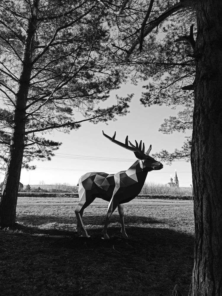 Фотография автора Юлия Сурина