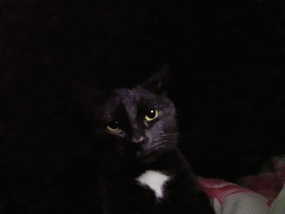 Photograph by Сергей Зайцев