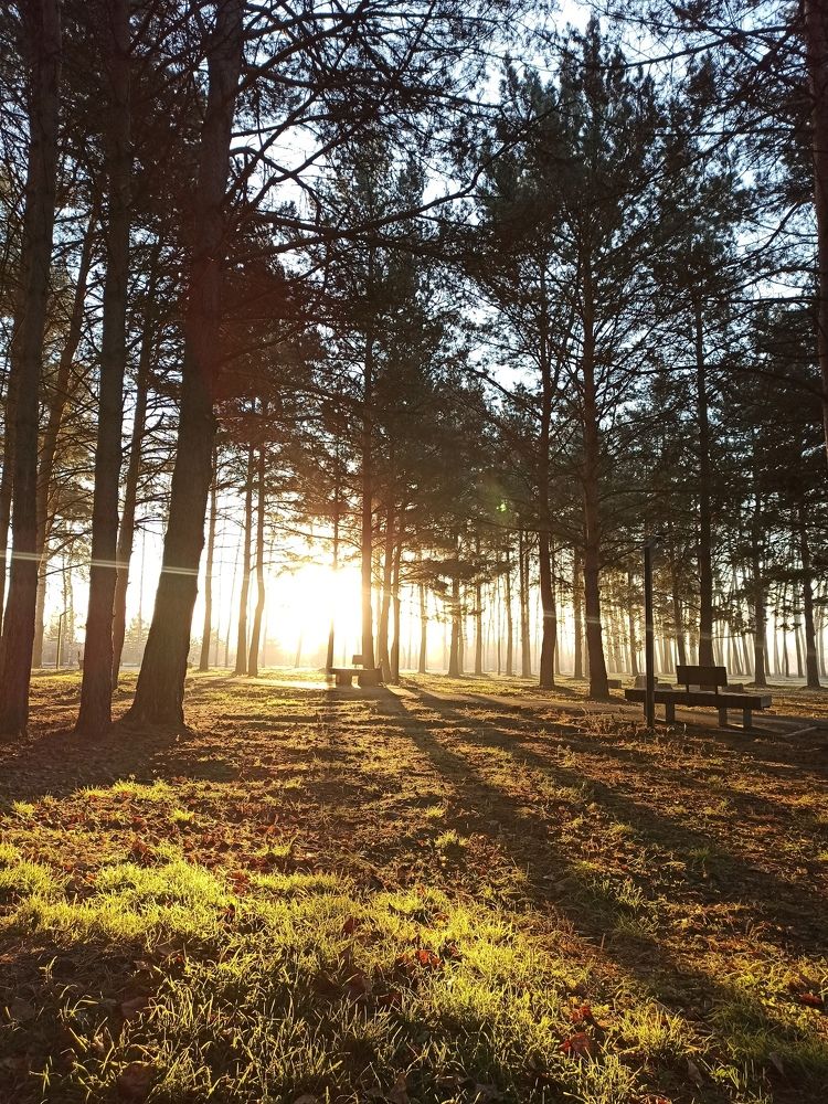 Фотография автора Юлия Сурина