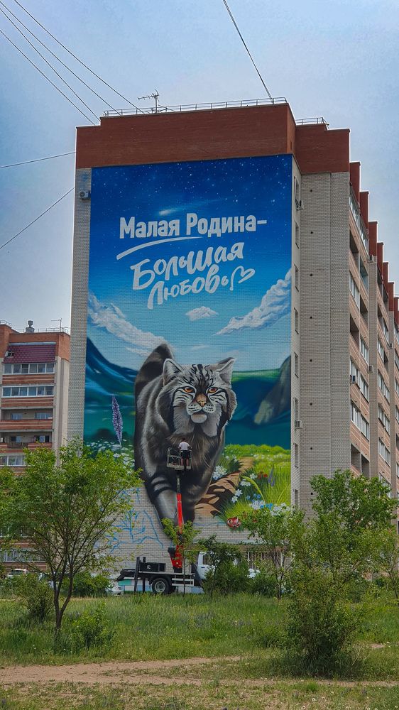 Photograph by Дарья Целуйко