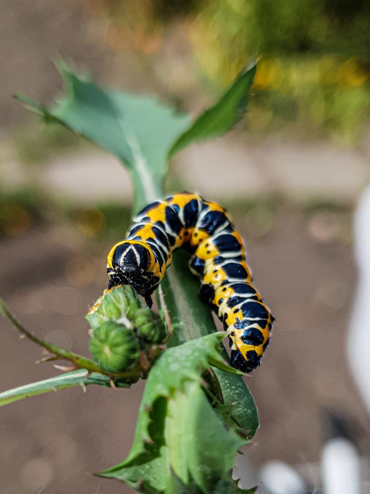 Photograph by Дарья Целуйко