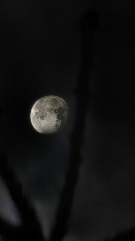 Photograph by Сергей Зайцев