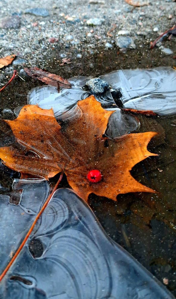 Photograph by Галина Перепечаева