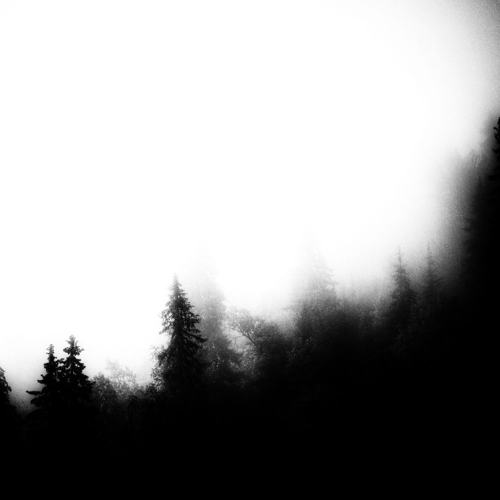 Photograph by Антон Глухов