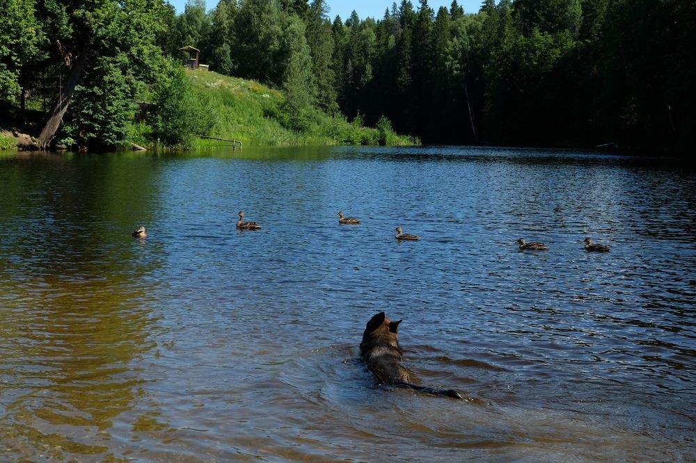 Photograph by Екатерина Хозяшева