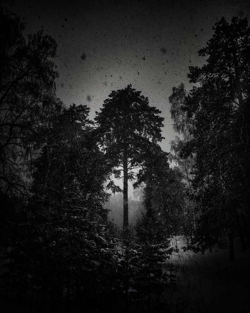 Photograph by Антон Глухов