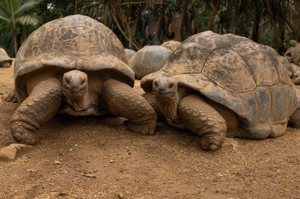 Photograph by Olga Varlamova