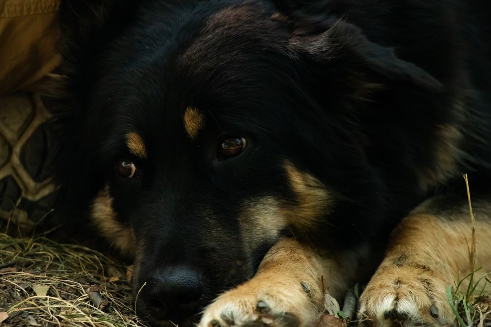 Photograph by Татьяна Новикова