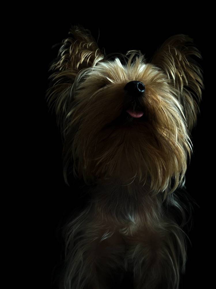 Photograph by Марина Федотова